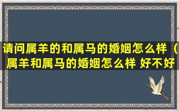 请问属羊的和属马的婚姻怎么样（属羊和属马的婚姻怎么样 好不好呢）